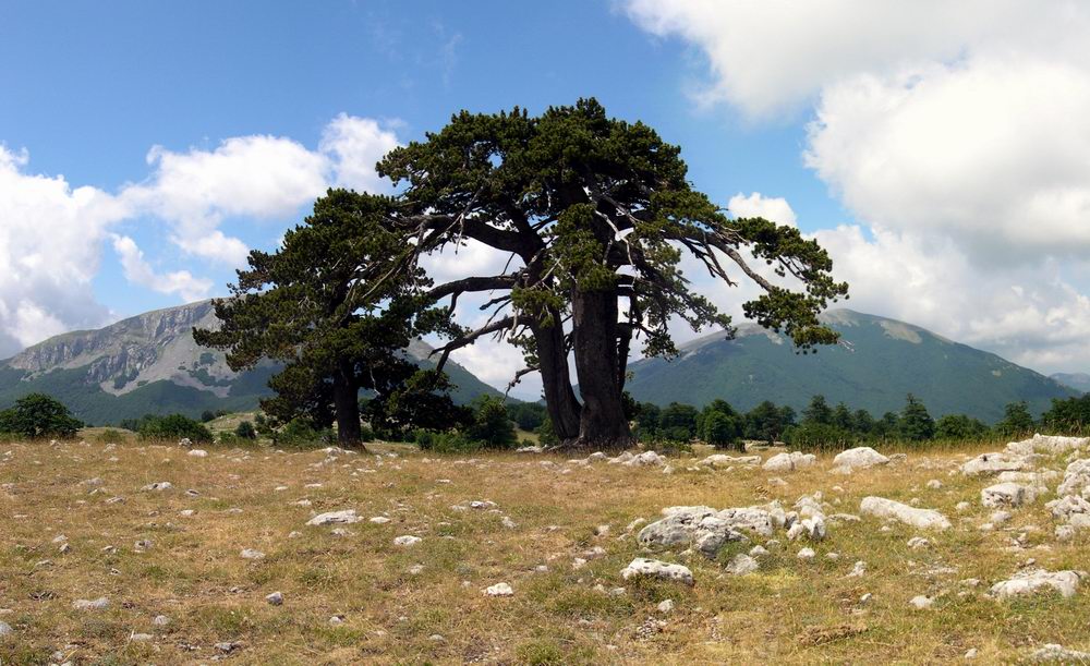 Panoramiche dal Pollino